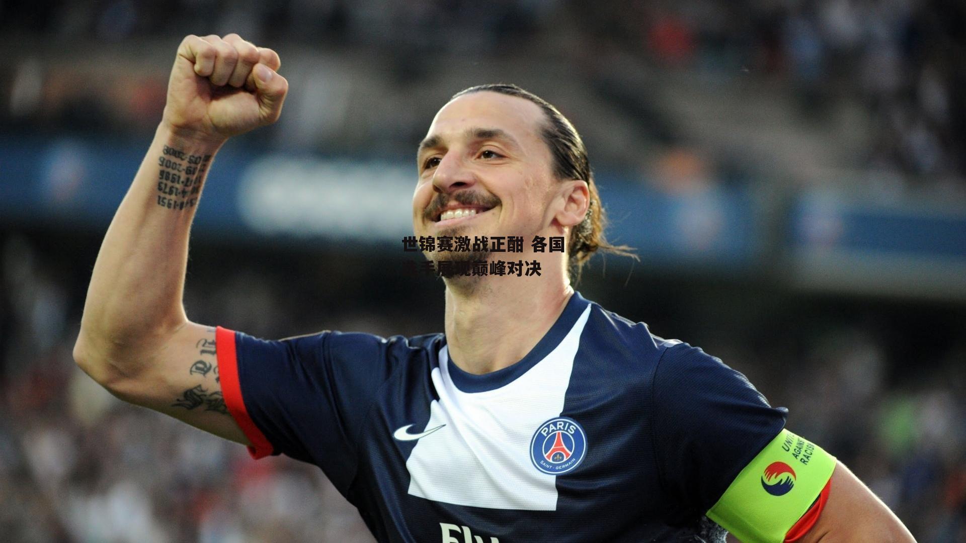 世锦赛激战正酣 各国选手展现巅峰对决